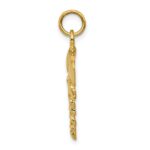 10k Nurse Symbol Charm - Image 2