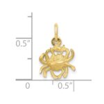10k Cancer Zodiac Charm - Image 3