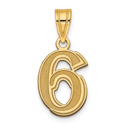 14k Polished Etched Number 6 Pendant