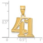 14k Polished Etched Number 41 Pendant - Image 4