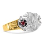 IBGoodman 14k Two-tone Men's Polished and Textured with Black Enamel and Diamond Double Eagle Masonic Shriner's Ring - Image 9