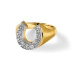 10k Two-tone IBGoodman Men's Satin Horseshoe Diamond Complete Ring - Image 9