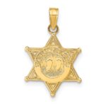 14k DEPUTY SHERIFF Badge with Bear Pendant