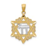 14k and White Rhodium Star of David with Chai Pendant