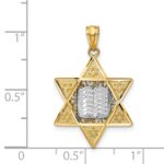 14k Two-tone Star of David and Torah Pendant - Image 3