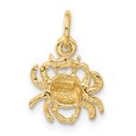 14k Satin Diamond-cut Cancer Zodiac Charm - Image 3