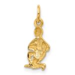 14k Satin Diamond-cut Aquarius Zodiac Charm - Image 3