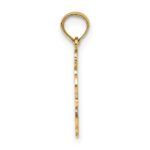 14K 100% AQUARIUS Zodiac Charm - Image 2