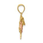 14K Two-tone Brushed and Polished Diamond-cut Plumeria with Dolphin Pendant - Image 2