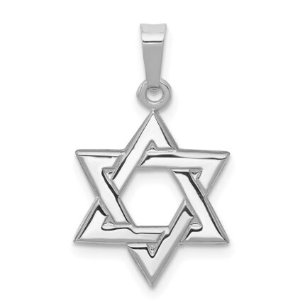 14K White Gold Polished Star of David Pendant
