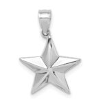 14K White Gold Polished Star Pendant