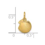 14K Polished Textured Seashell Pendant - Image 4