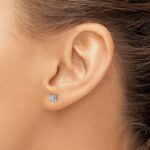 14k White Gold 1/3 carat Lab Grown Diamond VS+ F+ Princess Complete Four Prong Stud Earrings - Image 3