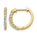 14k 1/3 carat Lab Grown Diamond VS/SI+ G+ Complete Hinged Hoop Earrings