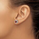 14k White Gold 3/8 carat Lab Grown Diamond VS/SI+ G+ January Birthstone Garnet Halo Post Earrings - Image 3