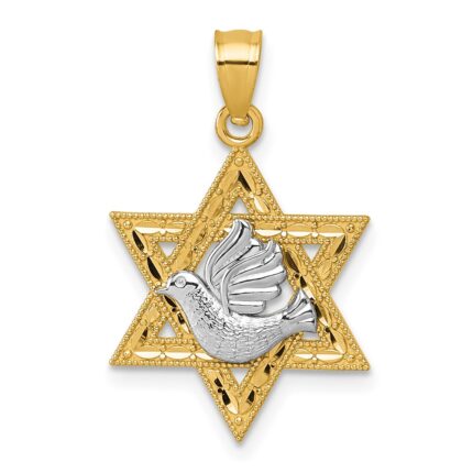 14k Two-tone Textured Dove On Star Of David Pendant