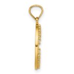 14k Polished CZ Star of David in Circle Pendant - Image 2