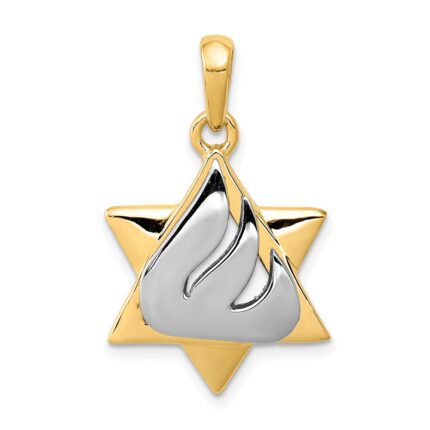 14k Two-tone Star of David with Shin Symbol Pendant