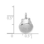 14k White Gold Seashell Pendant - Image 4