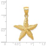 14K Starfish Pendant - Image 4