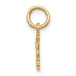 14k Swiss Cheese Charm - Image 2