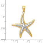 14K with White Rhodium Starfish Pendant - Image 4