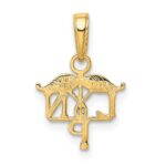 14k LPN Licensed Practical Nurse Symbol Pendant - Image 3