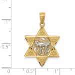 14k Two-tone Gold Polished Star of David with Chai Pendant - Image 4