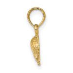 14K Polished and Textured Mini Turtle Charm - Image 2