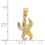 14K Textured Starfish Charm - Image 3