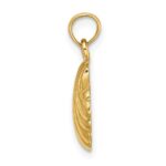 14K Polished Scallop Shell Charm - Image 2