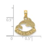 14K Textured NAGS HEAD with Dolphin Charm - Image 3