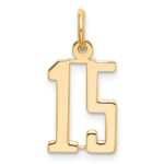14k Small Elongated Number 15 Charm