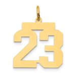 14k Medium Polished Number 23 Charm