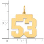 14k Medium Polished Number 53 Charm - Image 4