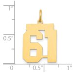 14k Medium Polished Number 61 Charm - Image 4