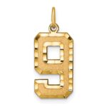 14k Large Brushed Diamond-cut  Number 9 Charm