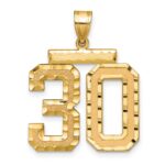 14k Large Brushed Diamond-cut Number 30 Charm