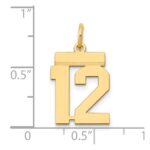 14k Small Polished Number 12 Charm - Image 4