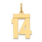 14k Small Polished Number 14 Charm