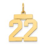 14k Small Polished Number 22 Charm