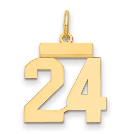 14k Small Polished Number 24 Charm