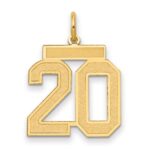 14k Medium Satin Number 20 Charm
