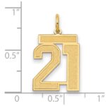 14k Medium Satin Number 21 Charm - Image 2