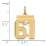 14k Medium Satin Number 61 Charm - Image 2