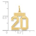 14k Small Satin Number 20 Charm - Image 4