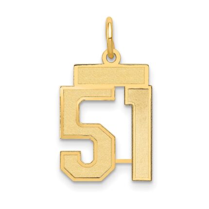 14k Small Satin Number 51 Charm