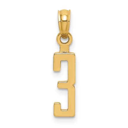 14k Polished Number 3 Pendant