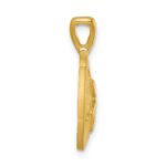 Sterling Silver Rhodium-plated Gold-tone Polished and Brushed Sand Dollar Pendant - Image 2