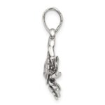 Sterling Silver Antiqued Cancer Zodiac Pendant - Image 2